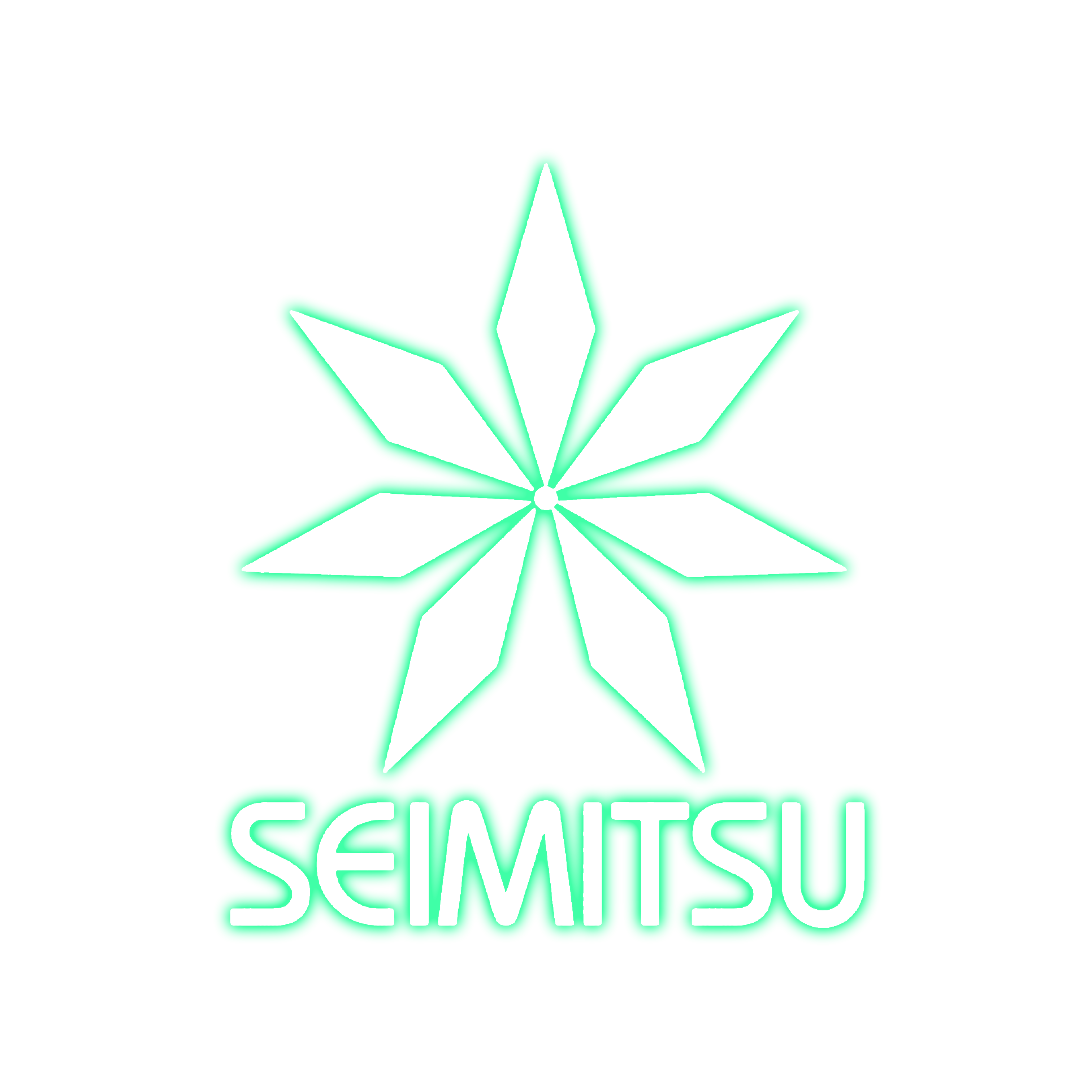 Seimitsu